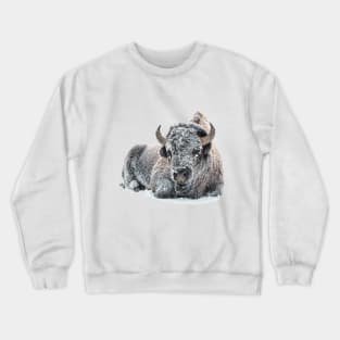 Image: Bison in snow Crewneck Sweatshirt